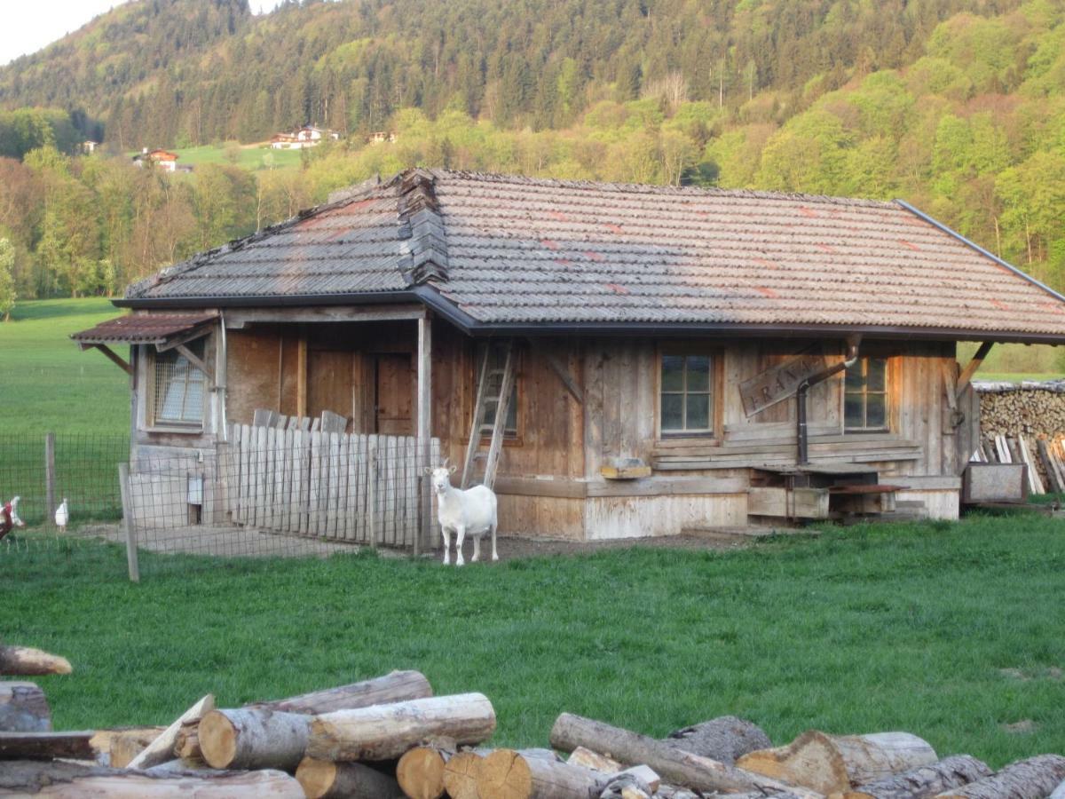 Piccolo Apartment Ebbs Dış mekan fotoğraf